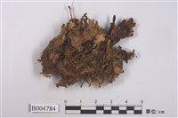 藏品(霜地卷)的圖片